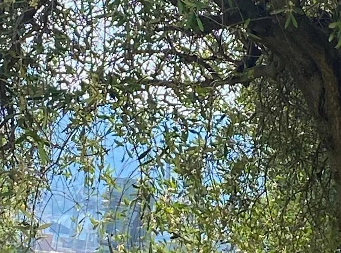 Cinque Terre *